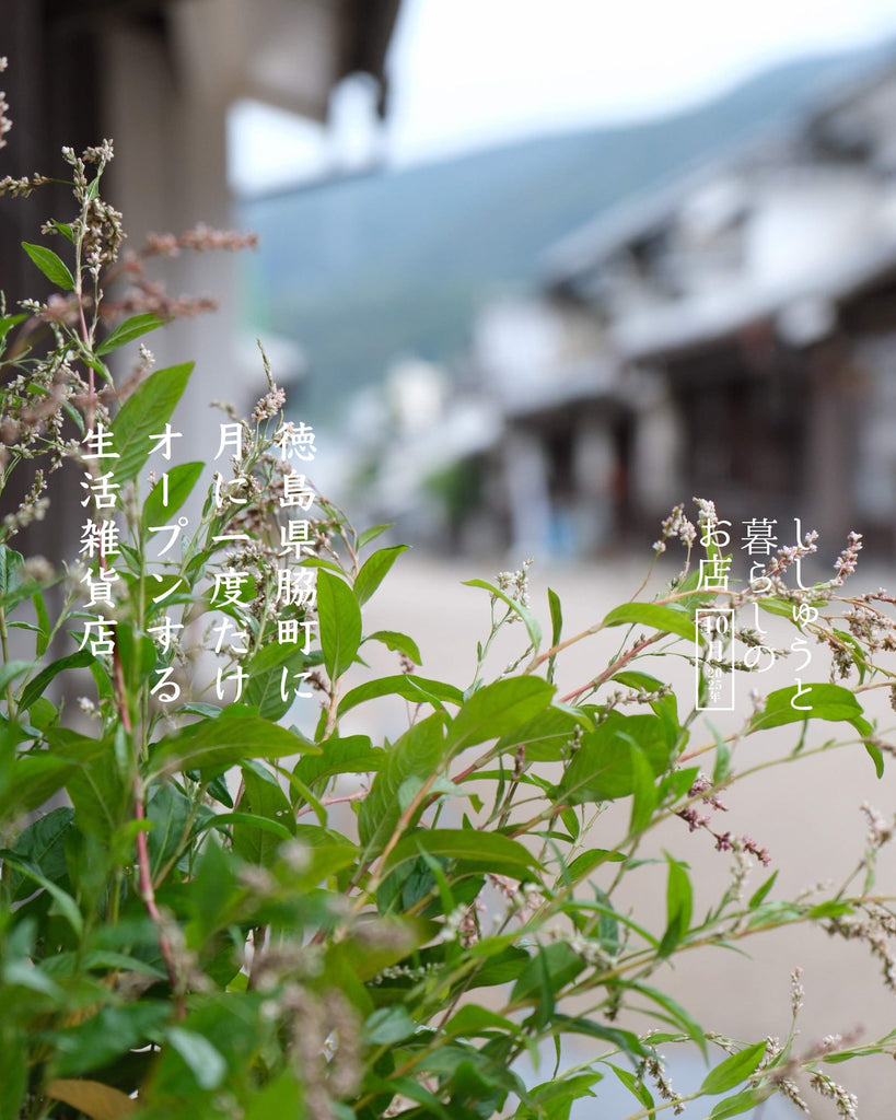 ししゅうと暮らしのお店 - 徳島脇町10月 -
