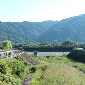 ししゅうと暮らしのお店 - 徳島脇町５月 -