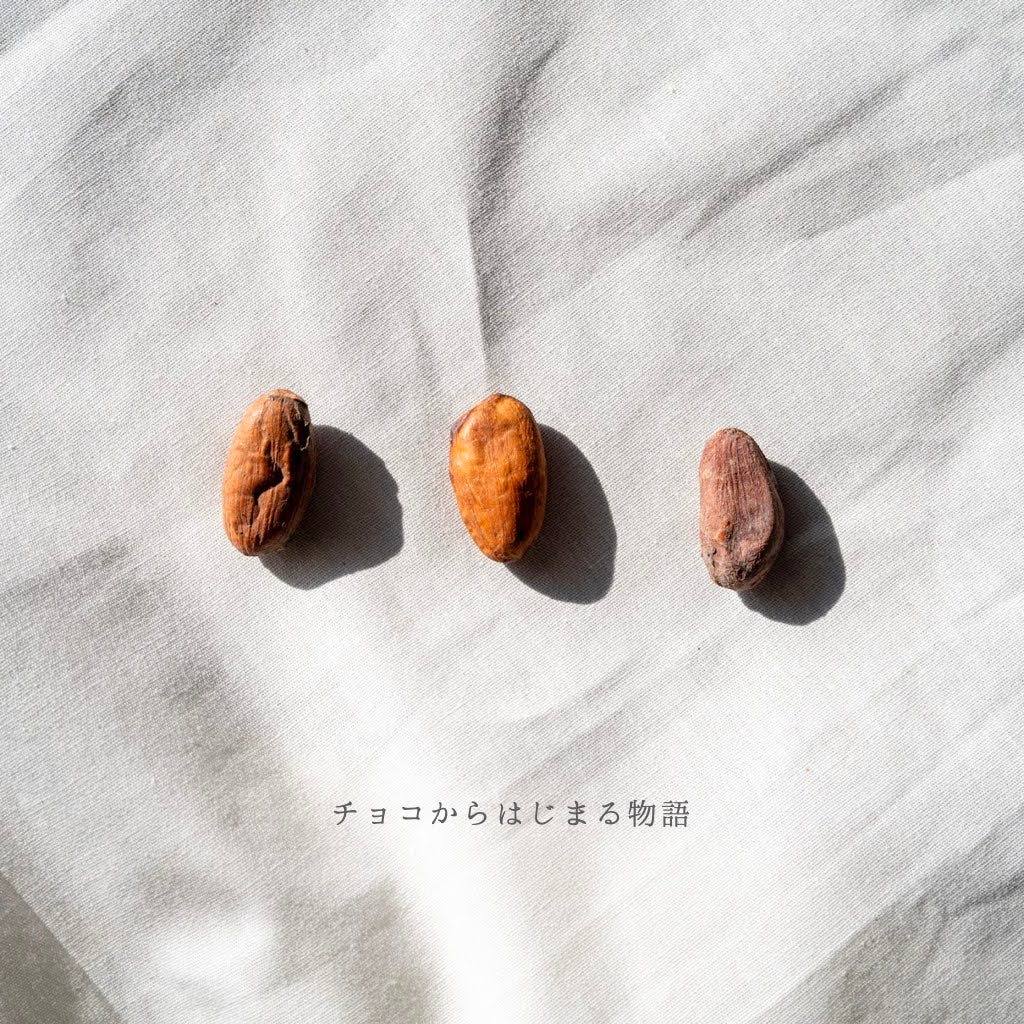 チョコレートのおはなしが始まります